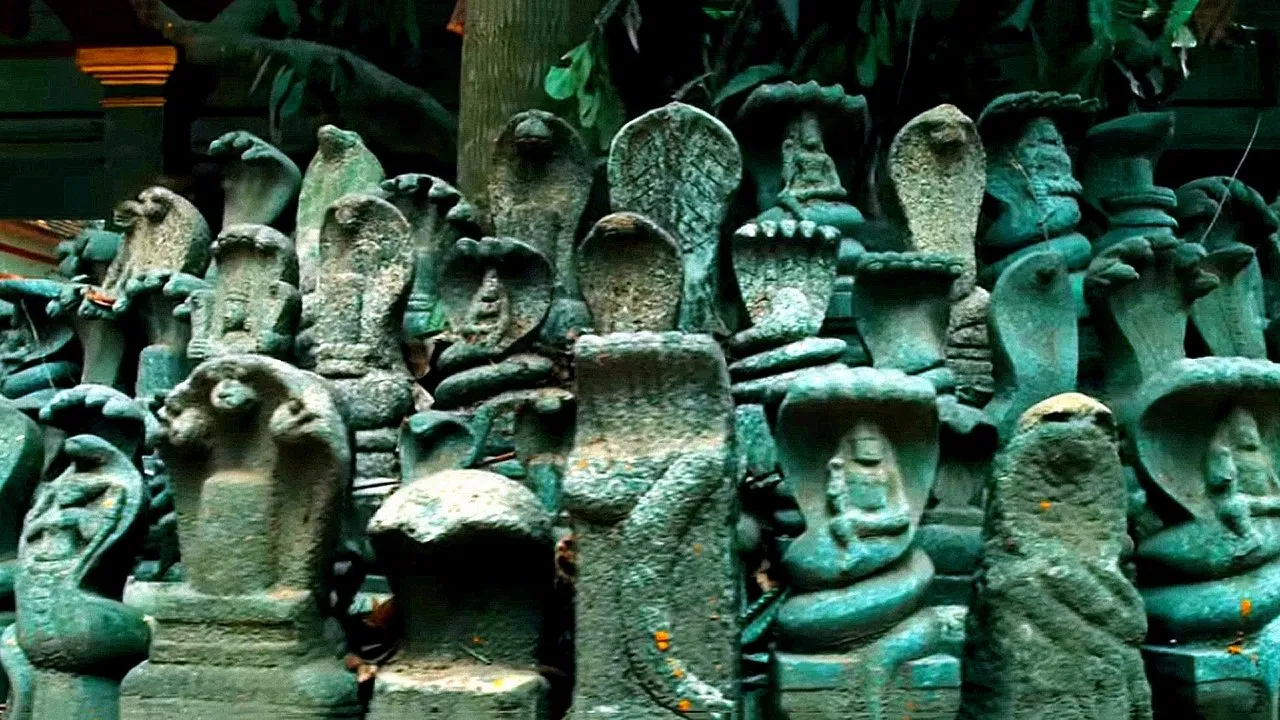 E (2017) দৃশ্য
