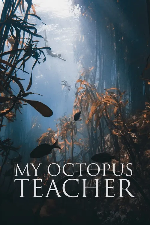 My Octopus Teacher (2020) পোস্টার