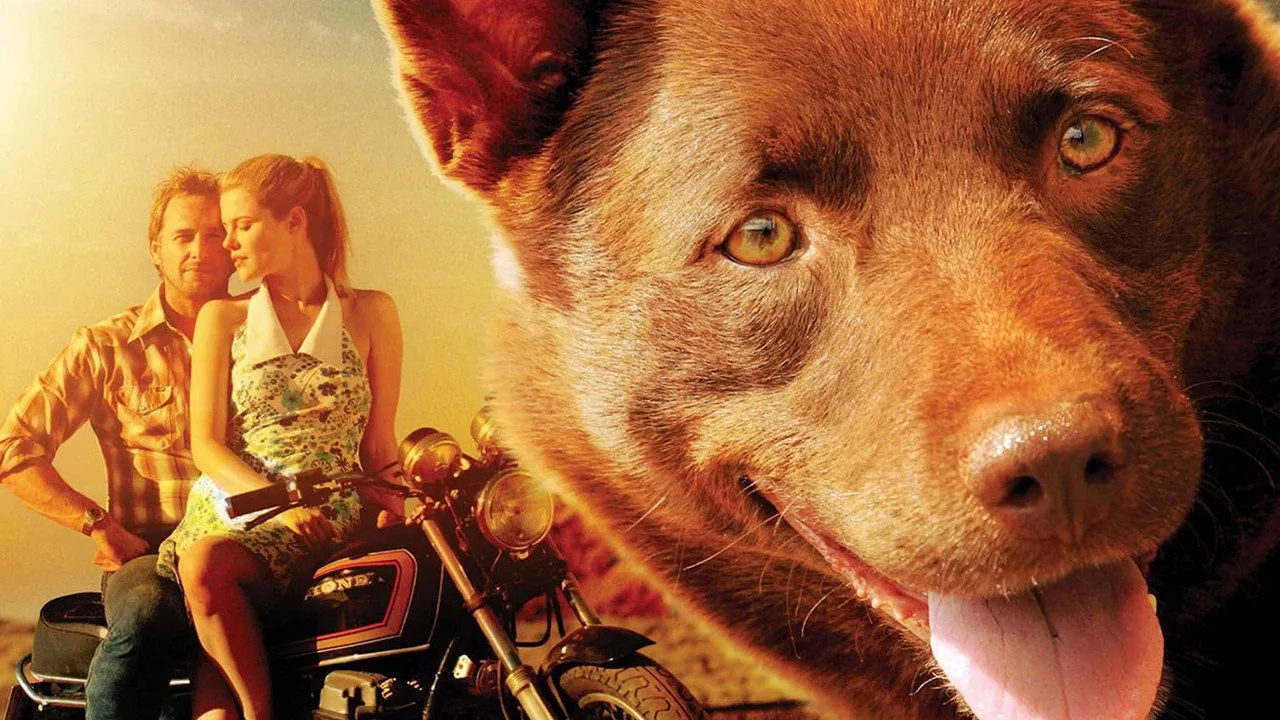 Red Dog (2011) দৃশ্য
