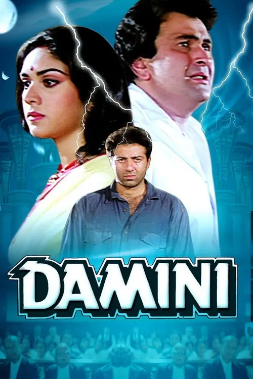Damini (1993) पोस्टर