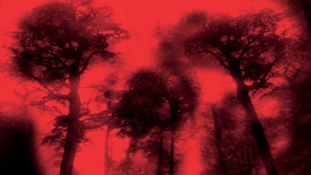 Cabin Fever (2003) still