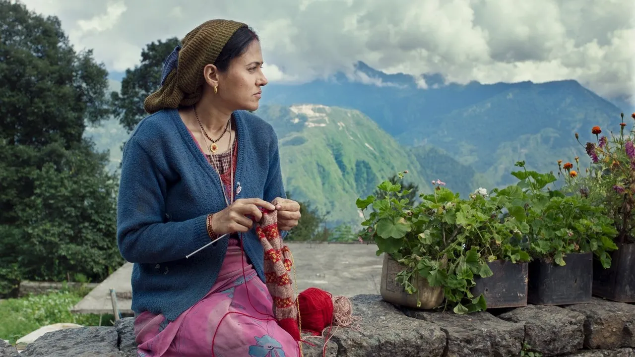Fire in the Mountains (2022) দৃশ্য