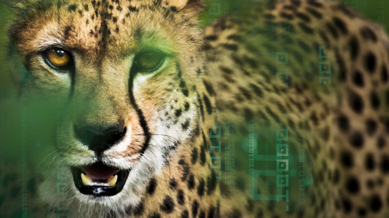 Hacking the Wild (2017) দৃশ্য