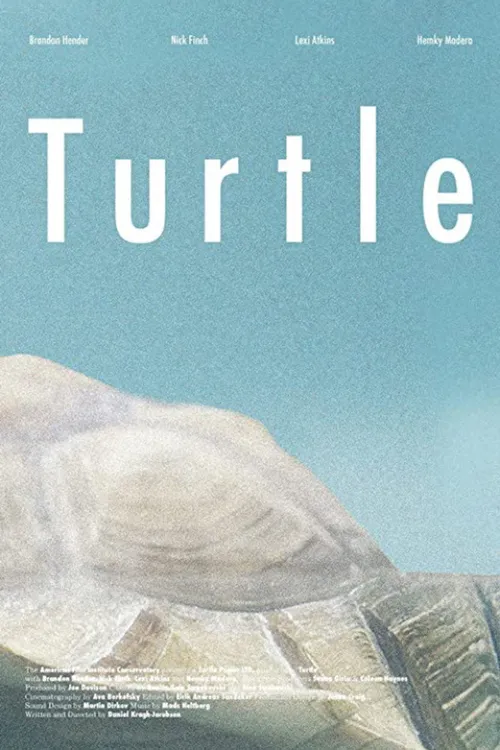 Turtle (2014) पोस्टर