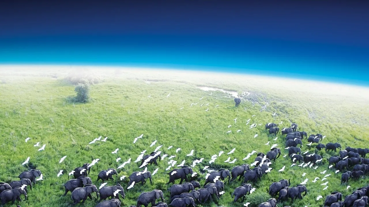 Planet Earth (2006) still