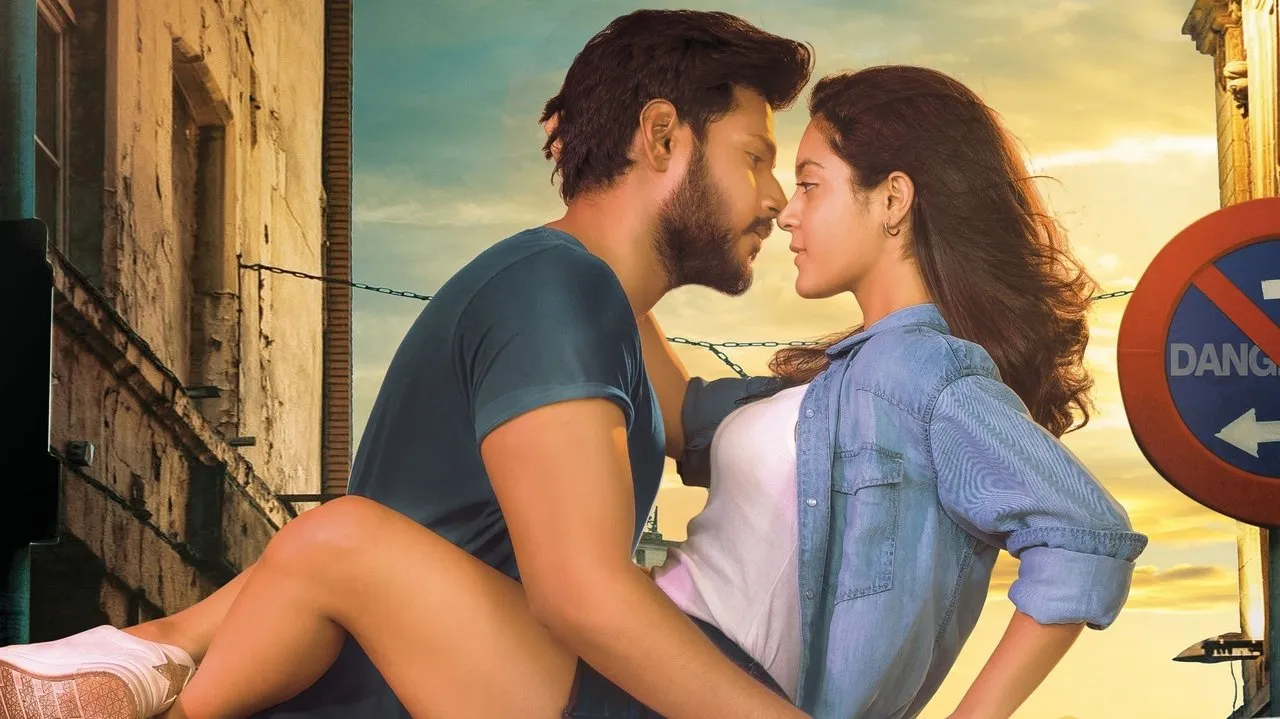 Ninu Veedani Needanu Nene (2019) still
