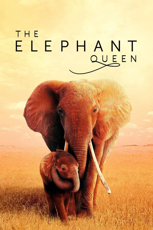 The Elephant Queen (2019) poster