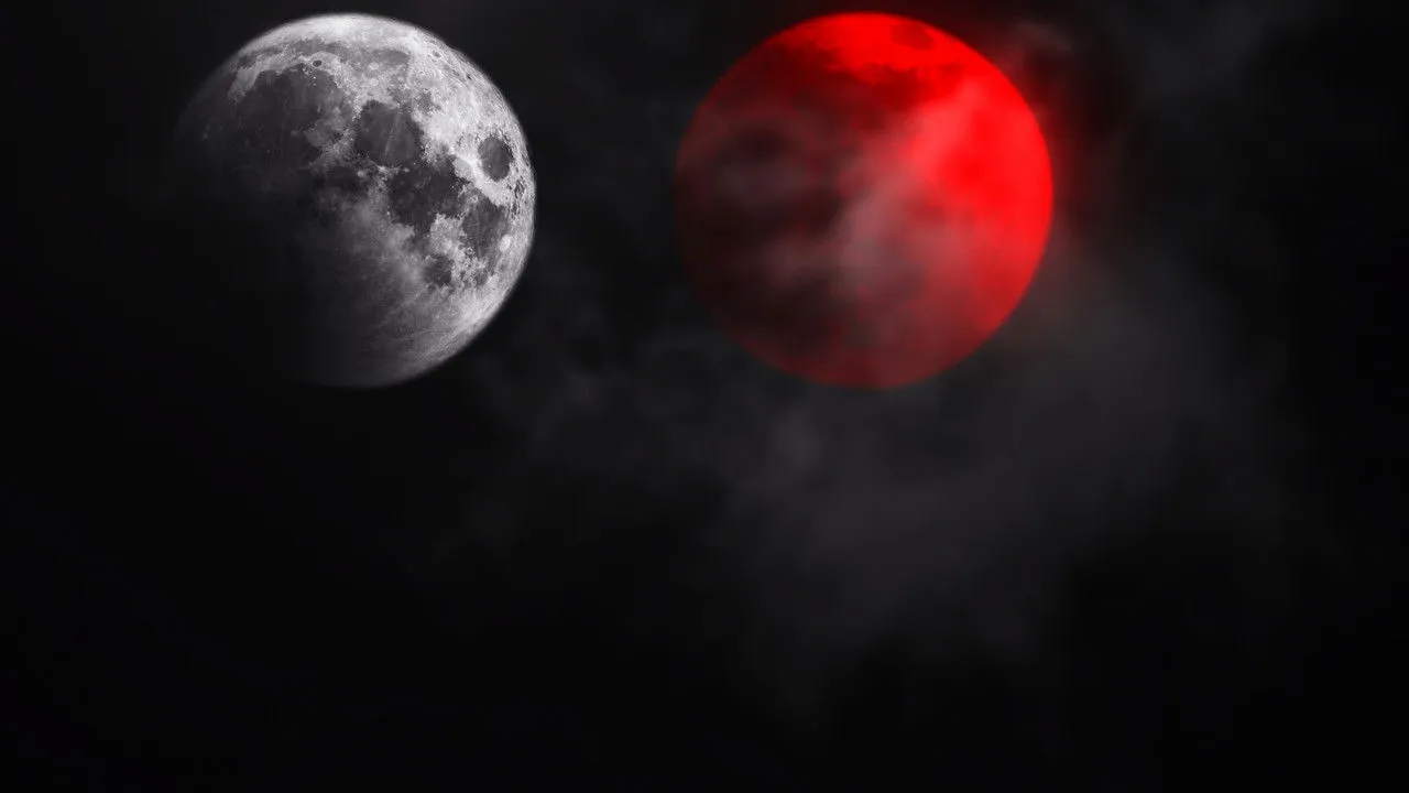 Not All Movies Are the Same: Dual (2025) still
